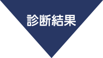 診断結果